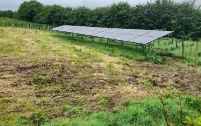 The greenest candidate